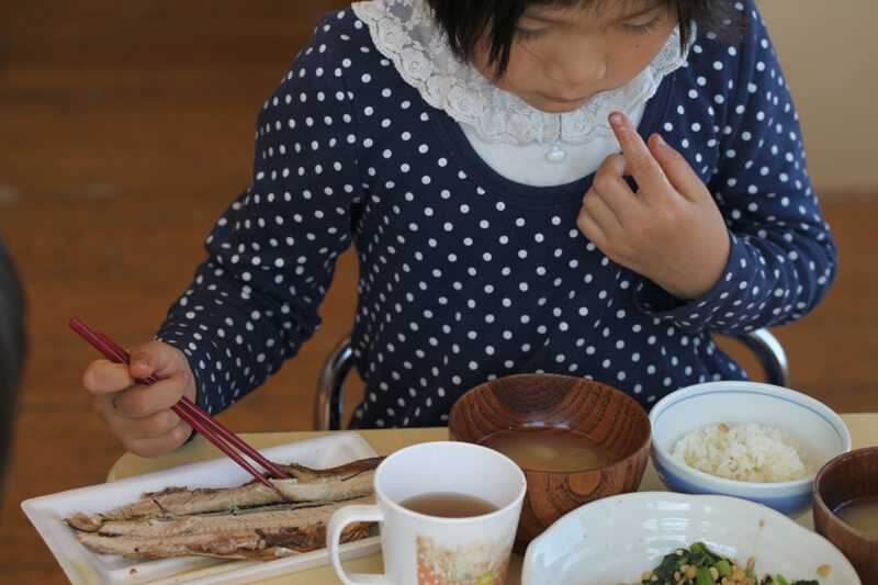 秋刀魚を食べる園児