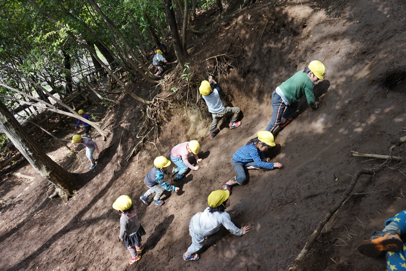 ほぼ垂直に見える泥坂