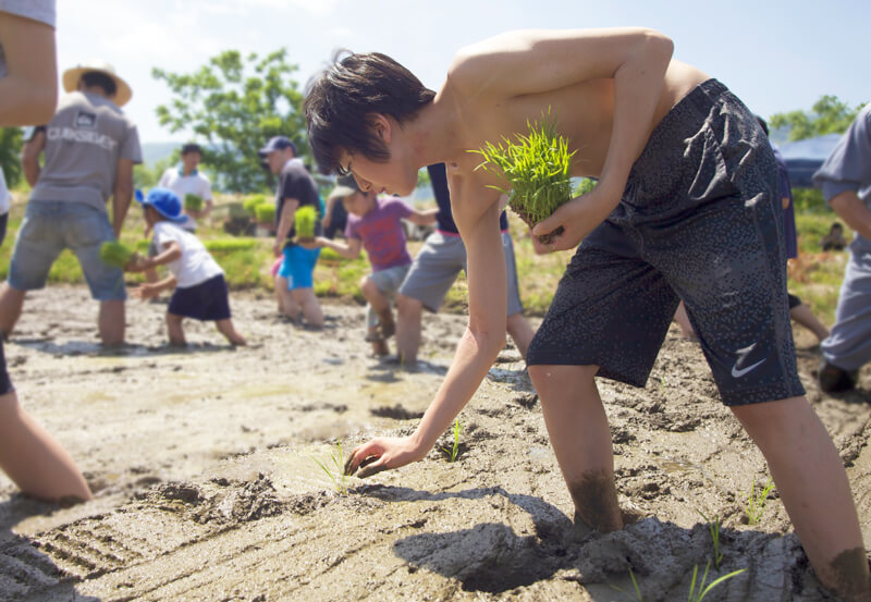 苗を片手に一苗ずつ植えていく子ども