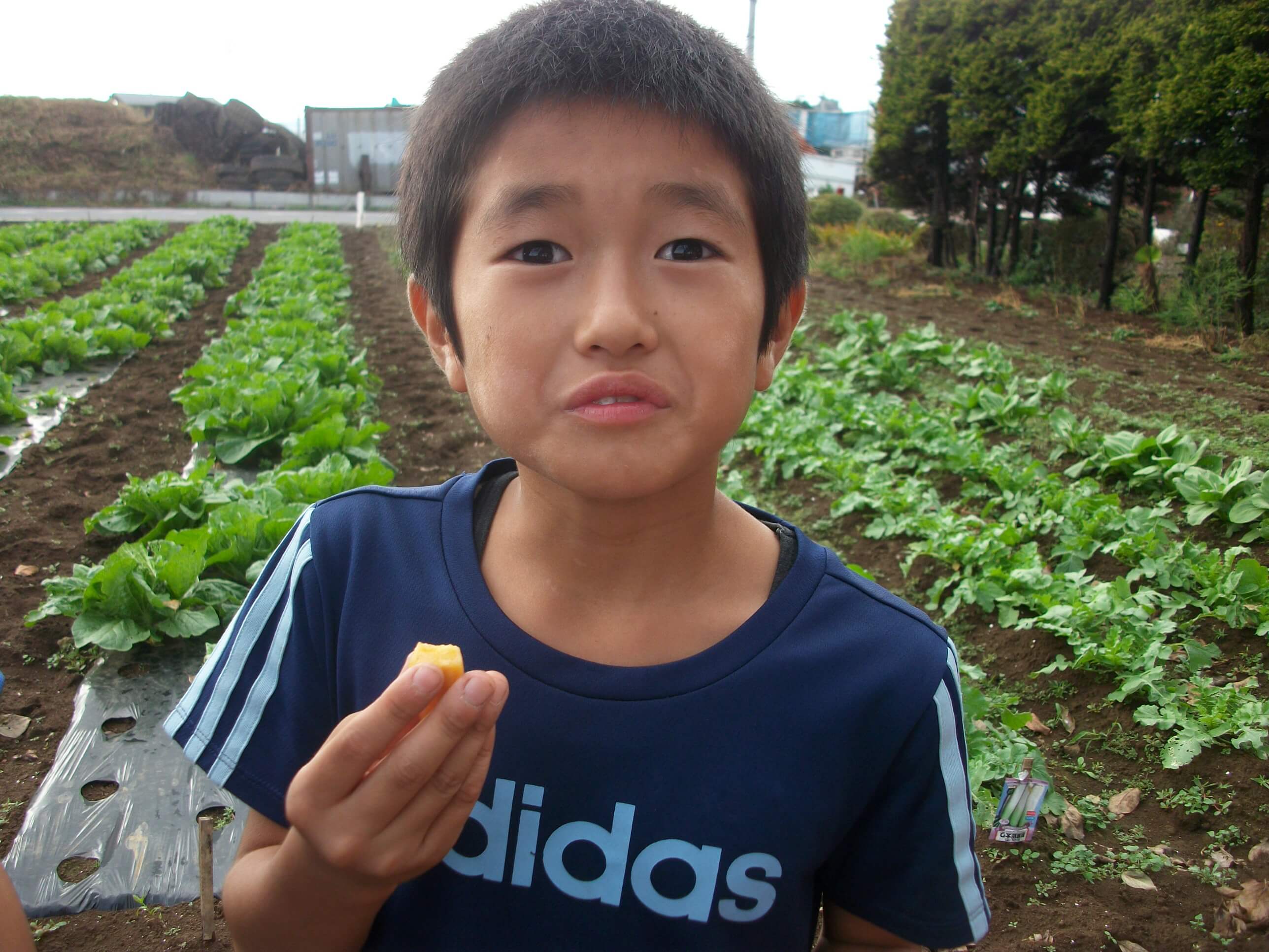 渋柿を食べて渋い顔をする子ども