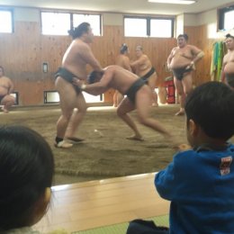 相撲の稽古を見学する子ども達