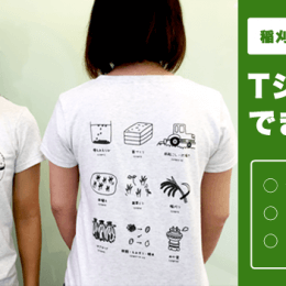 どろんこ会オリジナル「どろんこ米Ｔシャツ」