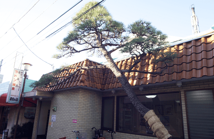 大きな松の木と煙突が目印の「親松の湯」