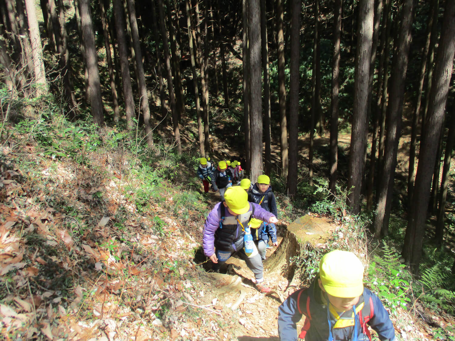 ぐんぐん登ります