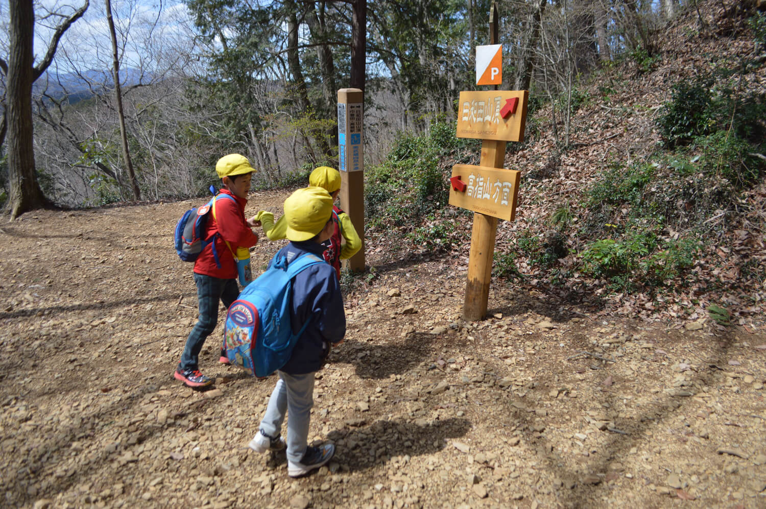 山頂へ続く道を発見！「こっちだ！」