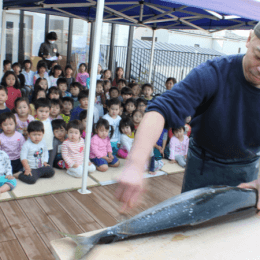 魚の解体を見学する園児たち