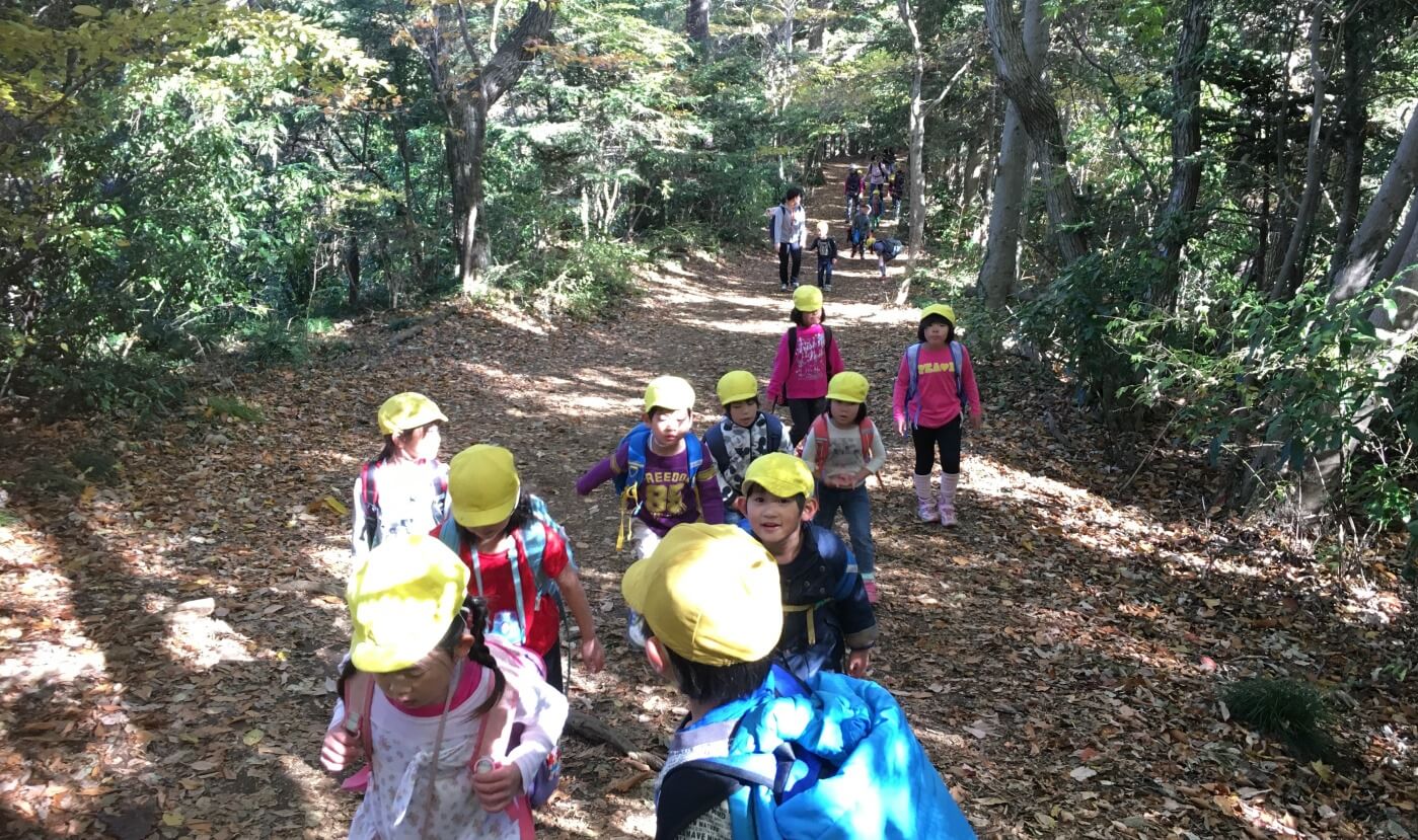 木漏れ日の差す山の中