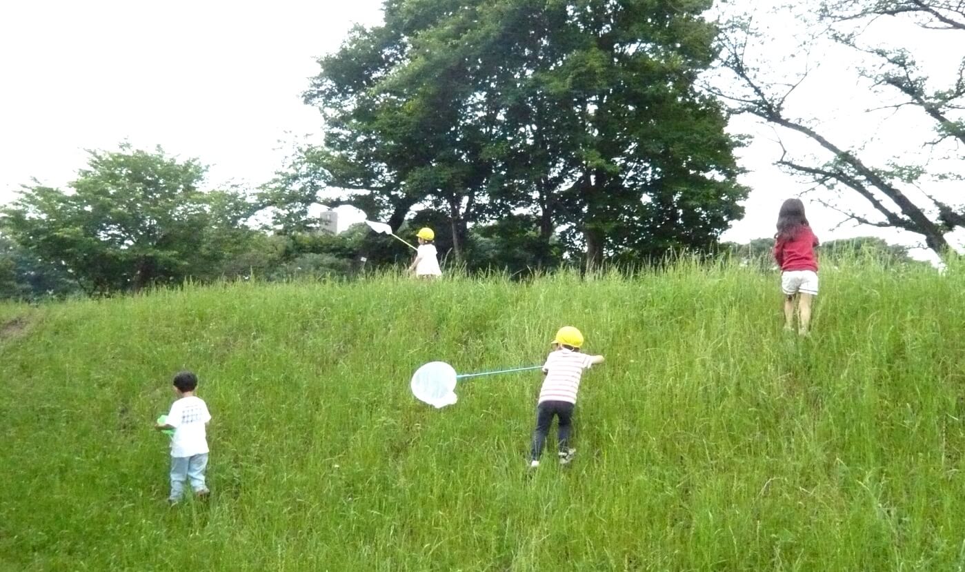 夏の虫取り