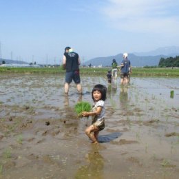 2歳児も初参加！南魚沼の大自然の中、親子で田植え体験を楽しみました。