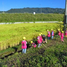 田んぼのあぜ道で遊ぶ園児たち