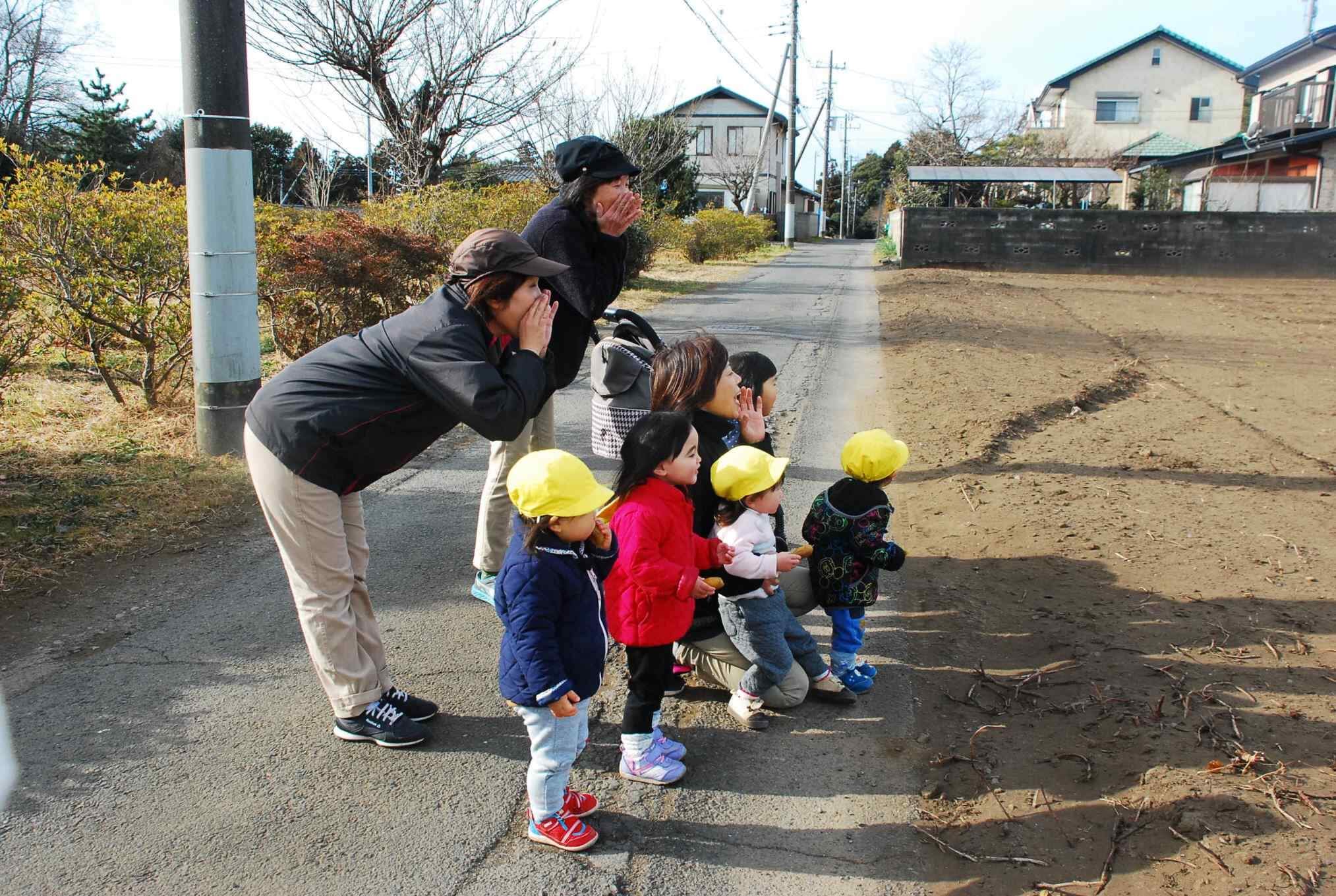 外で元気に散歩