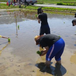 南魚沼で職員自ら田植え 体験と学び溢れる農業研修「MTM48」