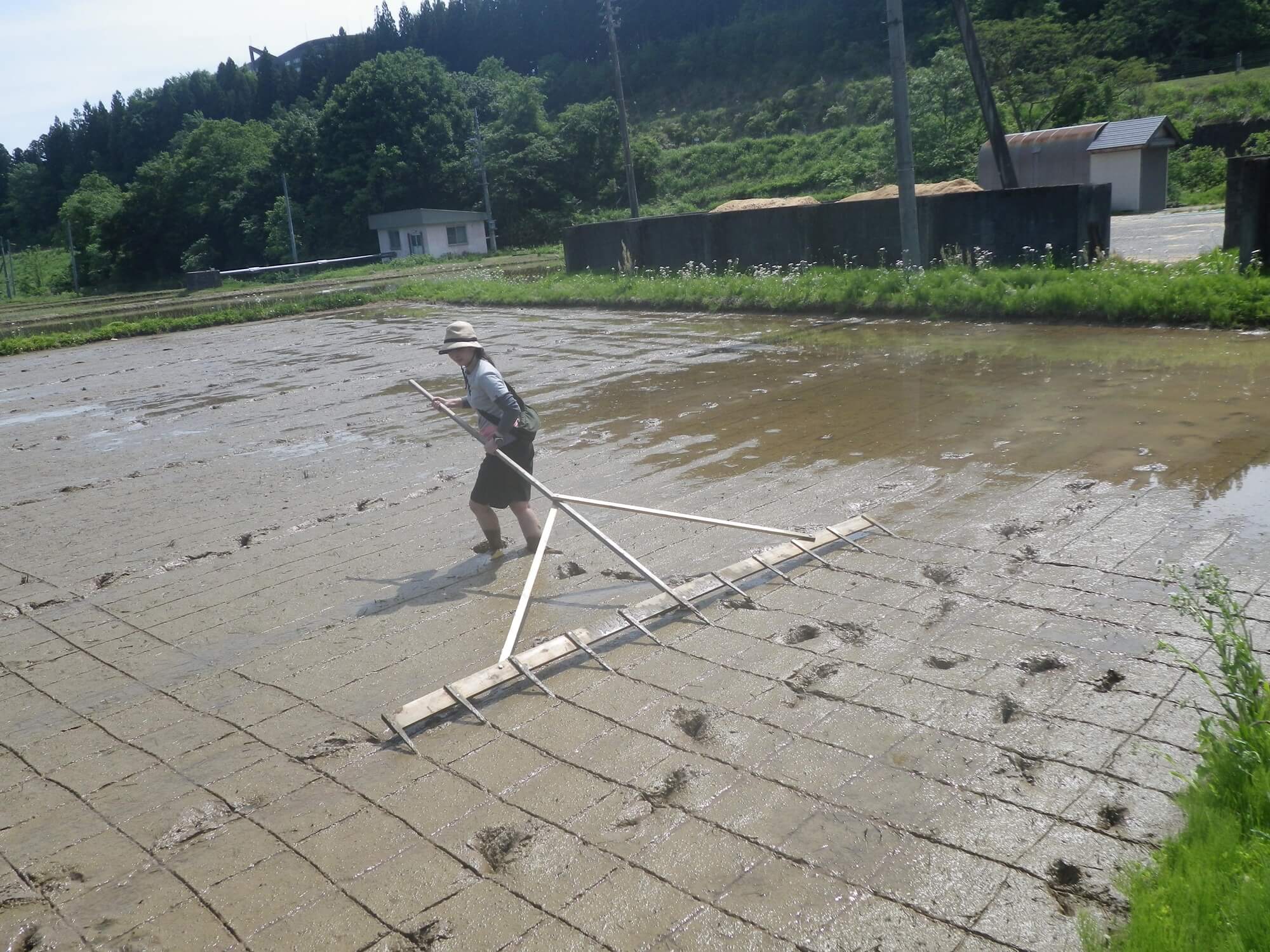 線引きに挑戦