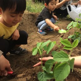 種をまく子供達