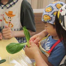 採りたて野菜で作ったサンドイッチとホカホカの味噌汁　