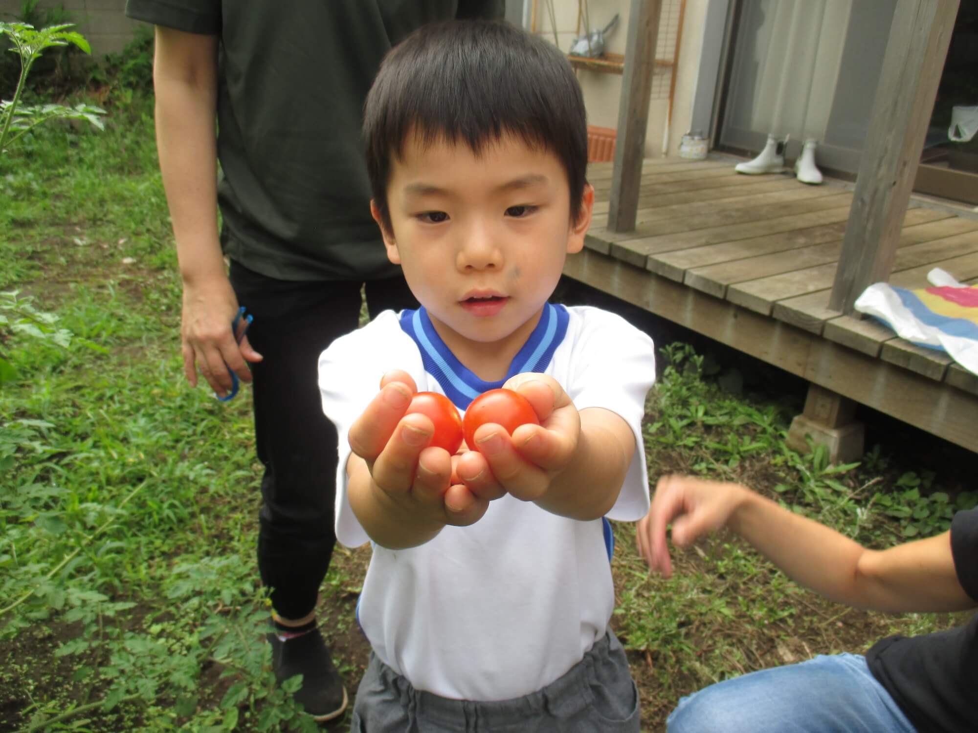 ミニトマトを見せる子ども