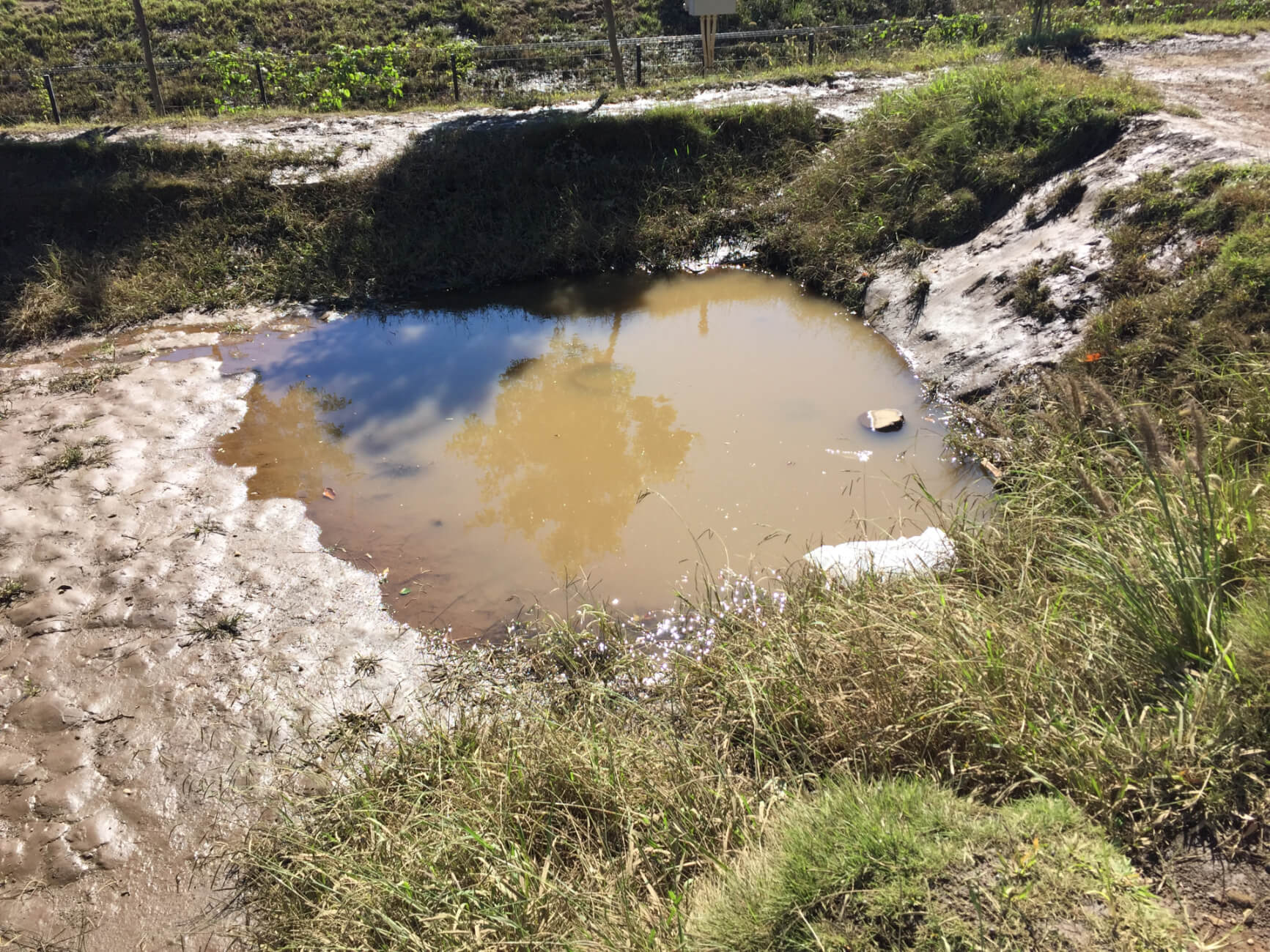 巨大な水たまりができた園庭