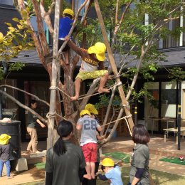 木登りする子どもたち