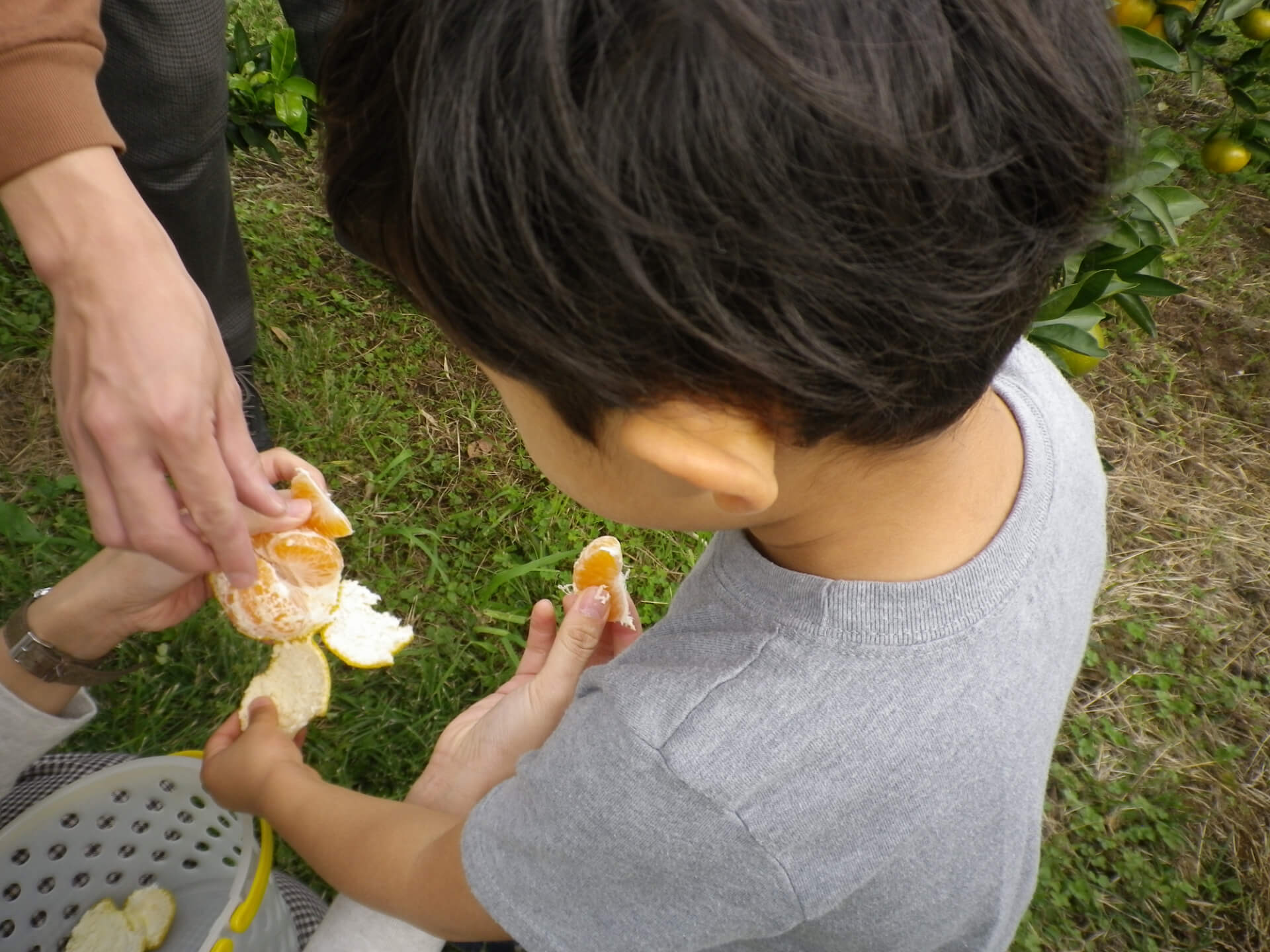 みかんを食べる子ども