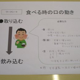 口の動きの資料