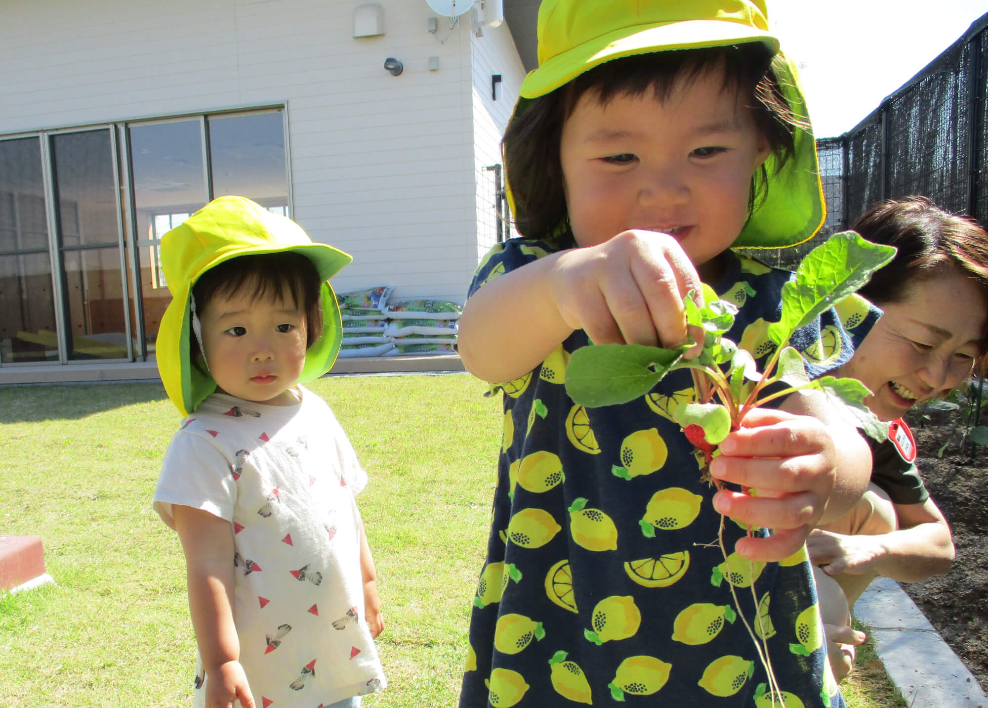 収穫した野菜を手に取る子ども