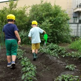 畑に水をまく子どもたち