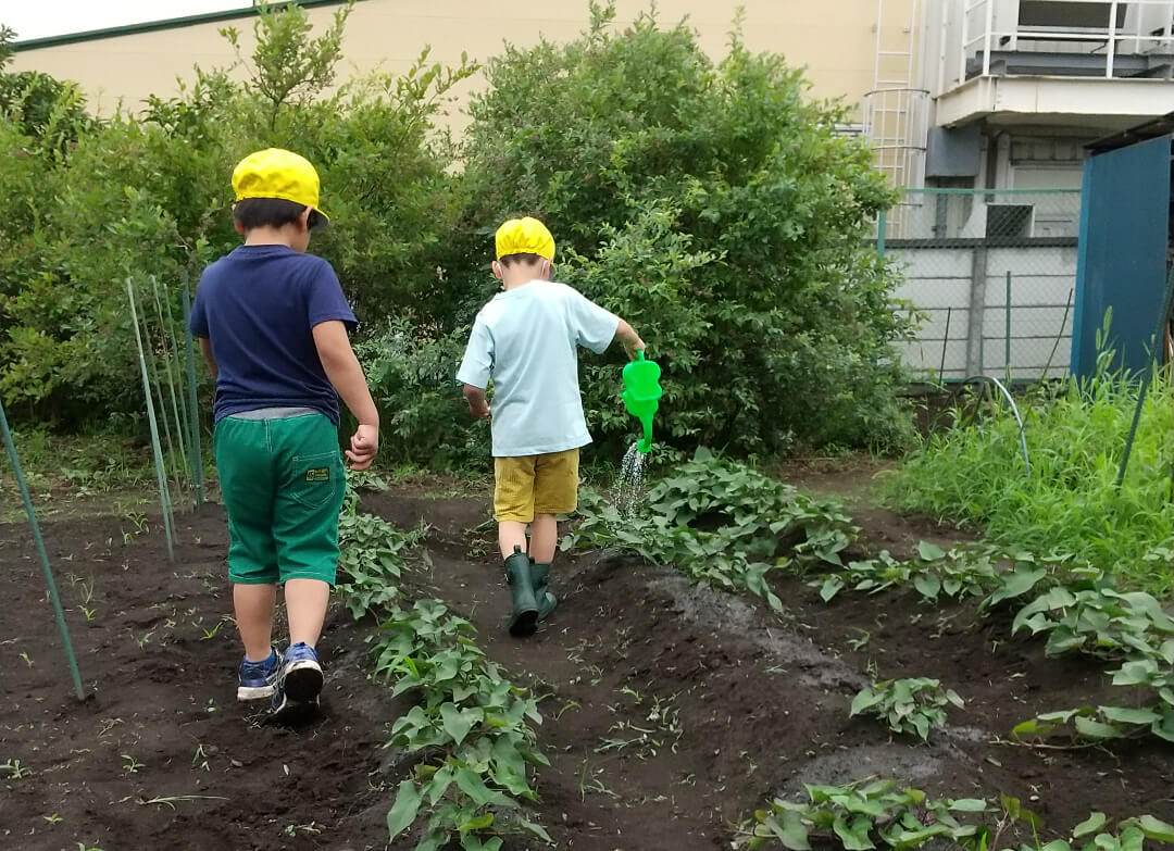 畑に水をまく子どもたち