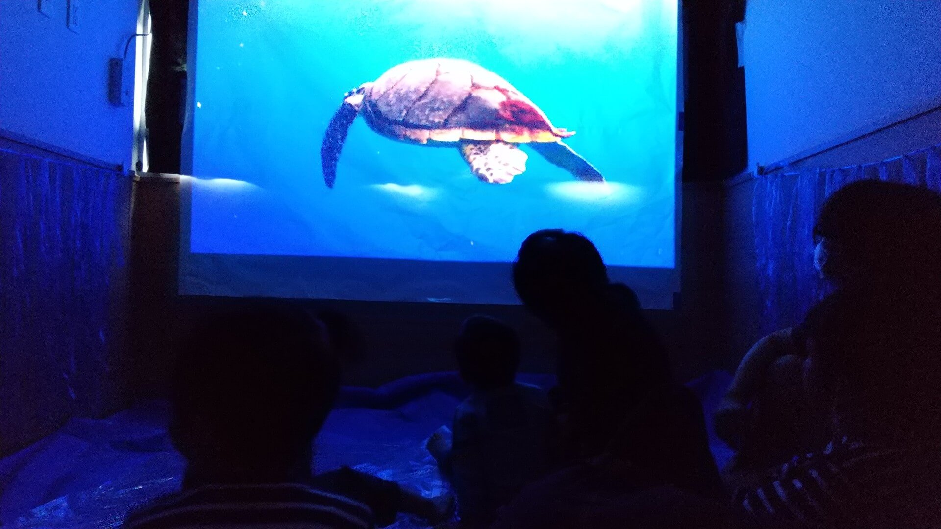 シアター水族館