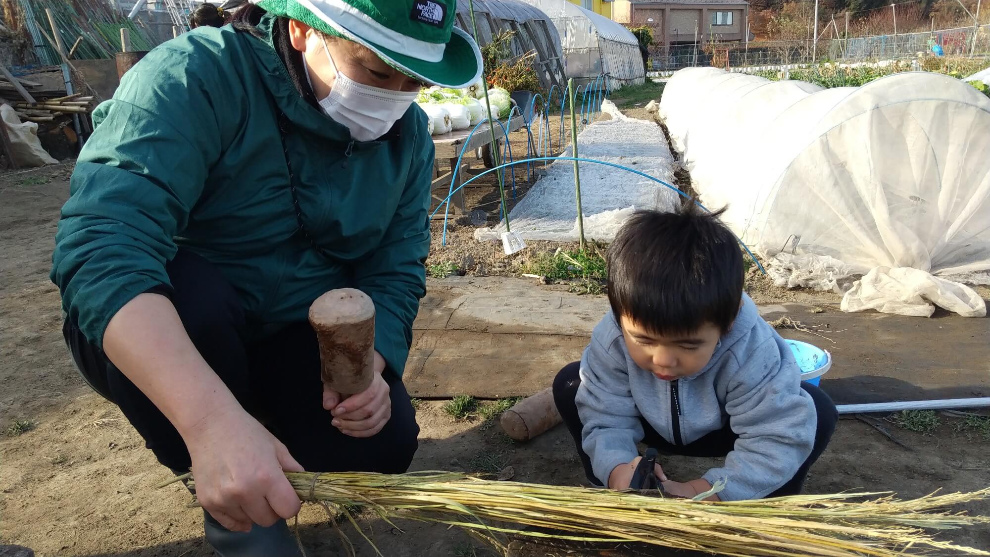 わらに霧吹きする子ども