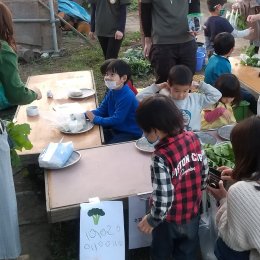 野菜を売る子どもたち