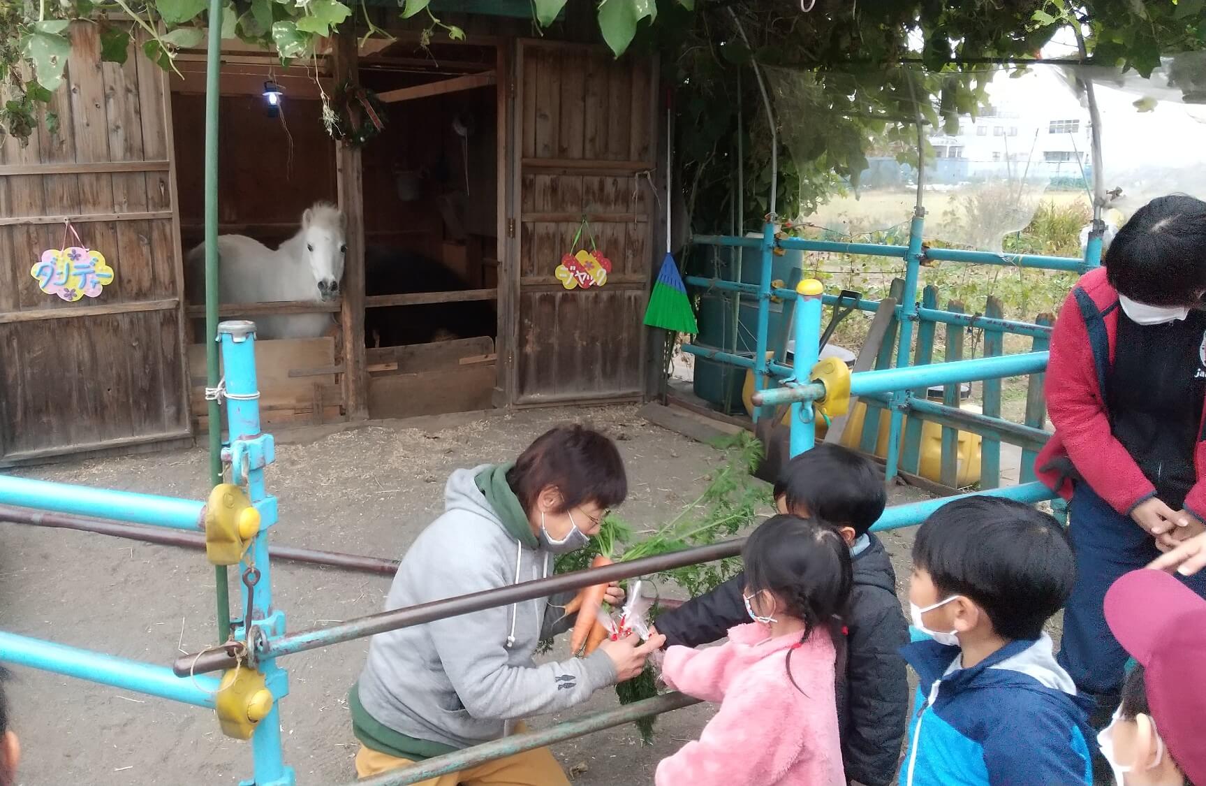 くにたち馬舎に寄付する子ども