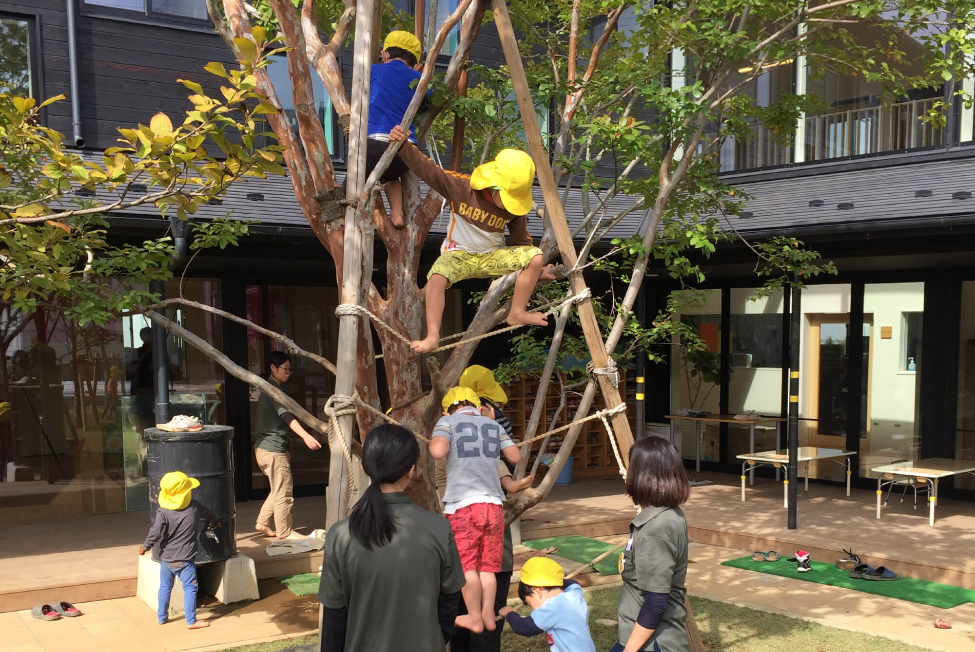 園庭で木登りする子どもたち