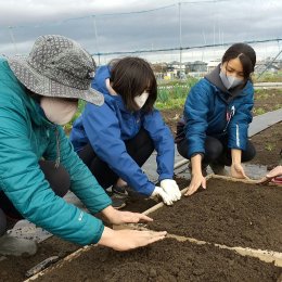 木枠の中の土を平らにする