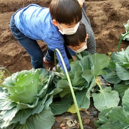 発達支援つむぎ荻窪「畑で気持ちを育む」