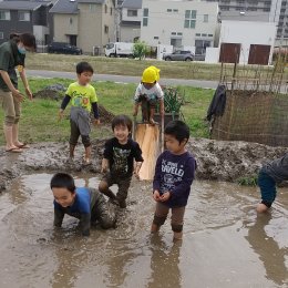 田んぼで遊ぶ子どもたち