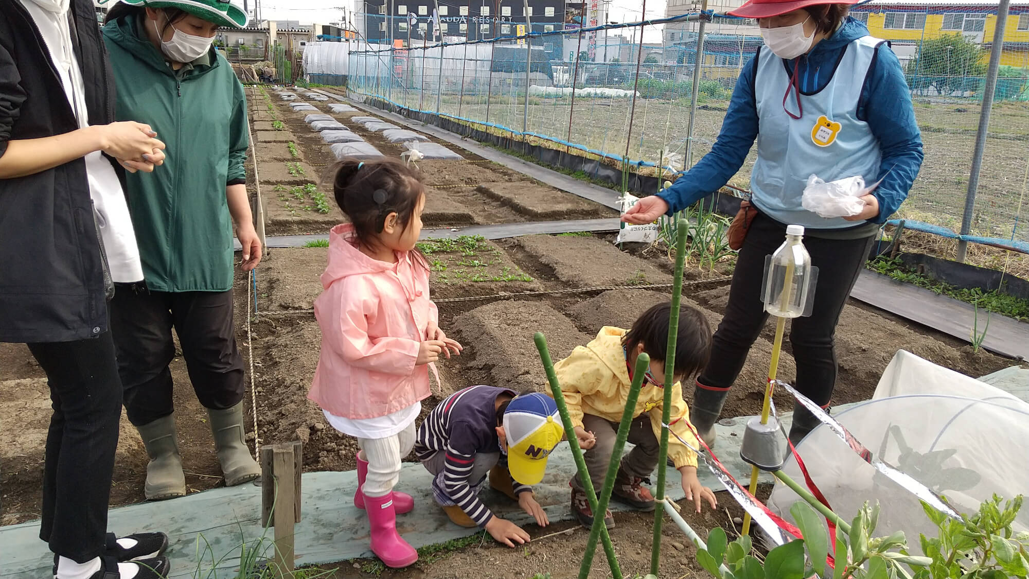 畑仕事をする子どもたち