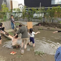 子ども発達支援センターつむぎ 浦和美園「田んぼに入ったことはありますか？」