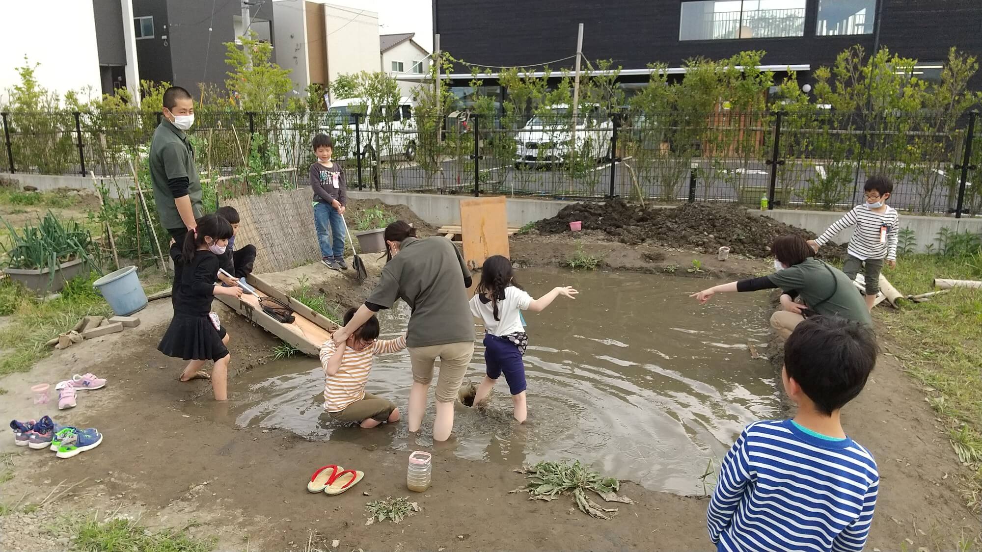 田んぼで遊ぶ子どもたち