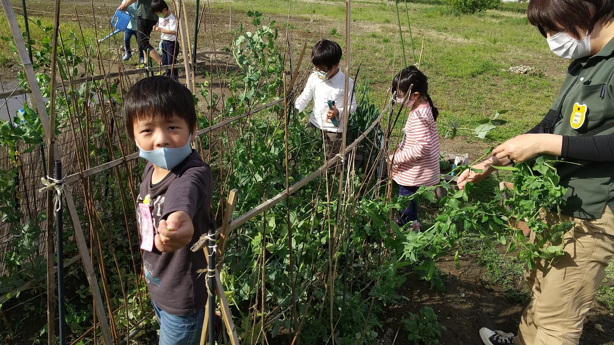 畑仕事をする子どもたち