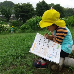 図鑑を調べる子ども