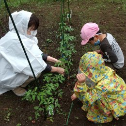 畑仕事中の子どもと職員