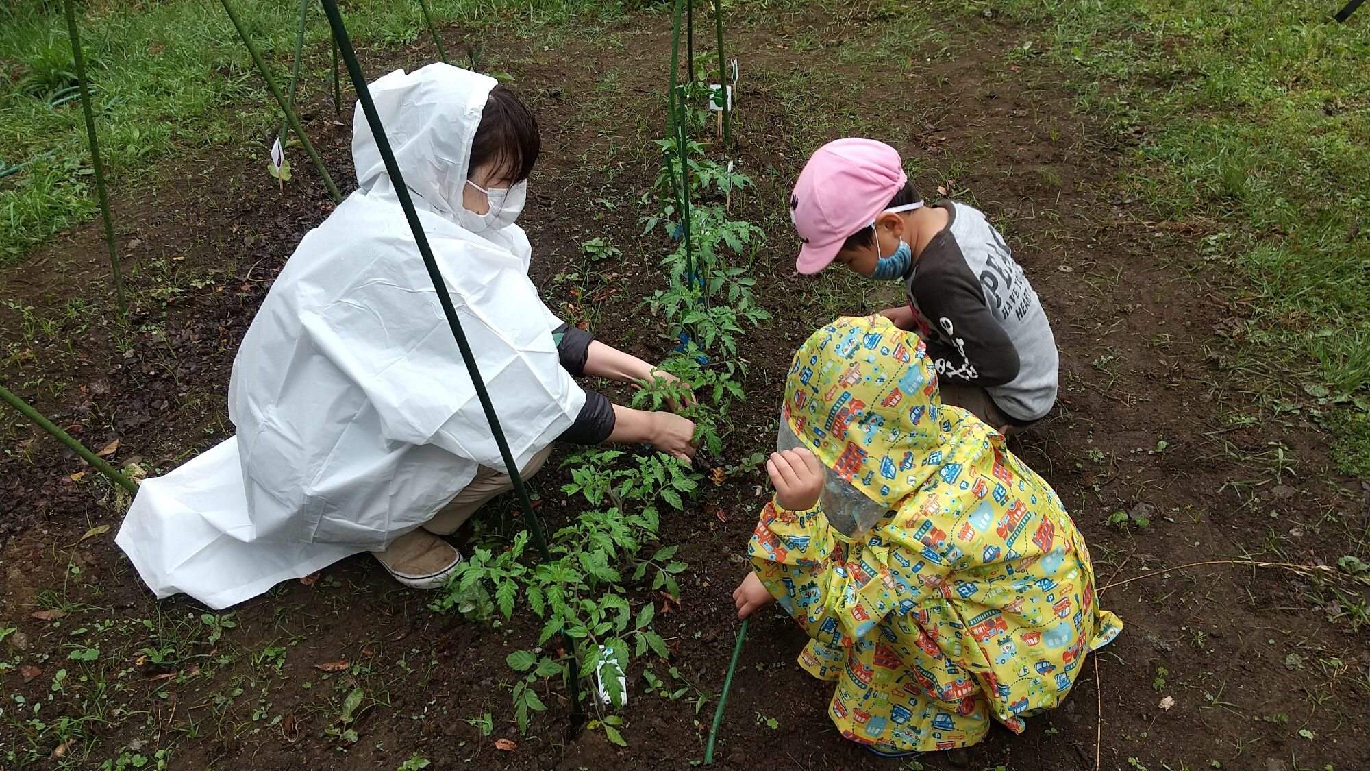 畑仕事中の子どもと職員