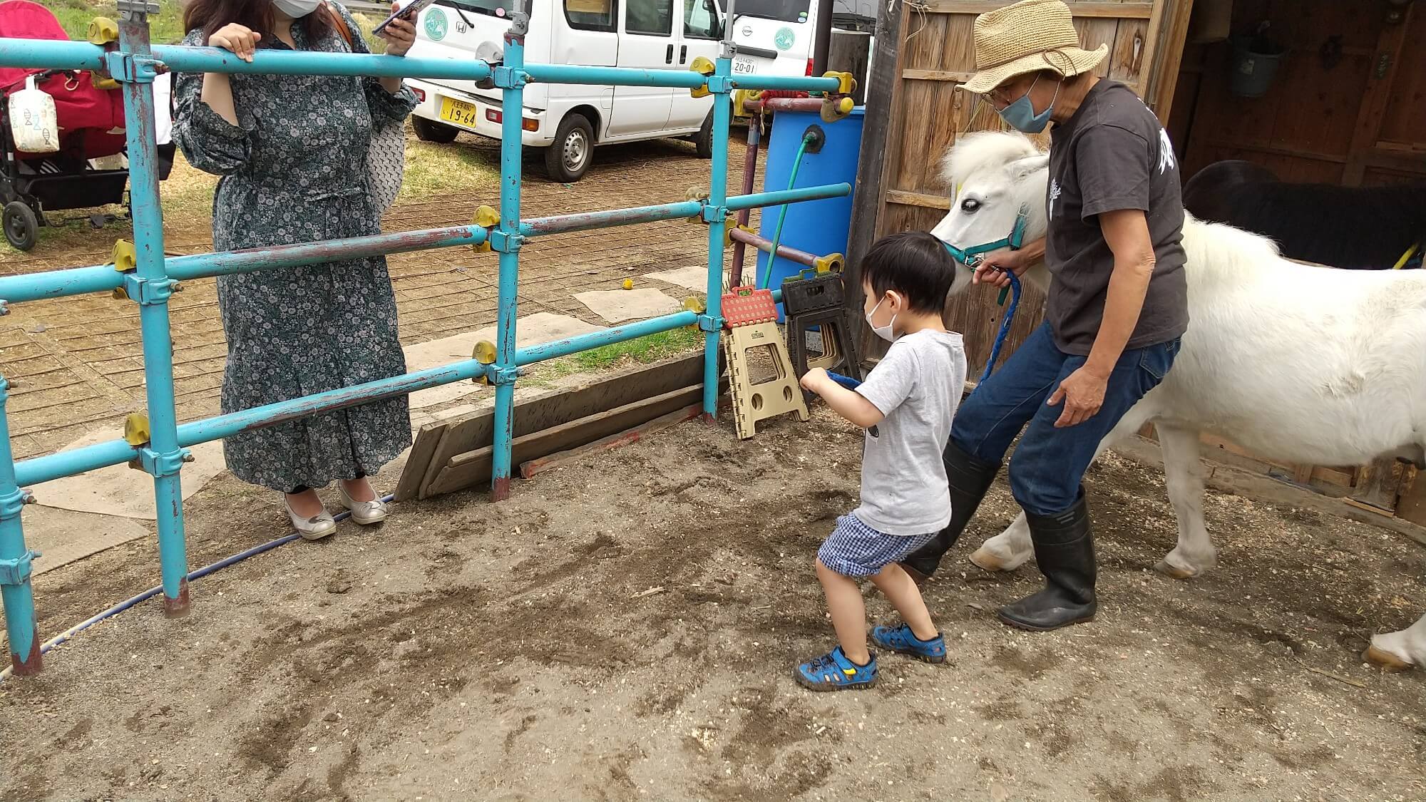 ダンディの手綱をひく子ども