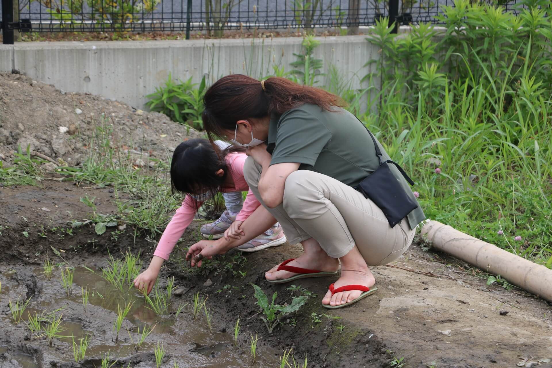 恐る恐る苗を植える子ども