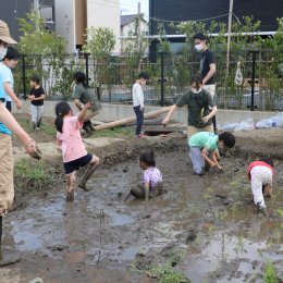 子ども発達支援センターで田植え　本物の体験から生きる力を育むために