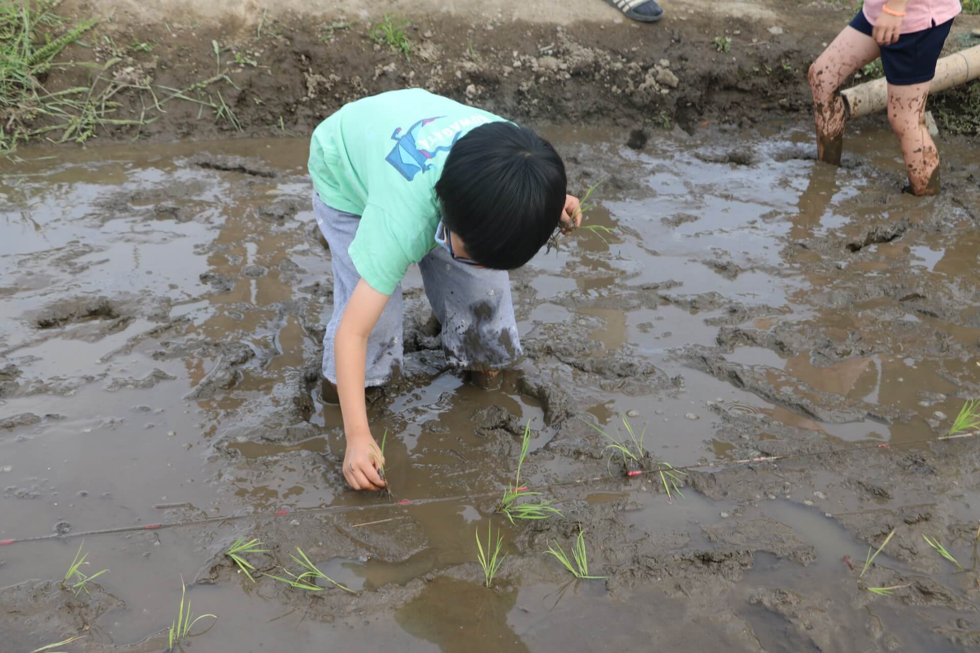 かがんで苗を植えることも運動能力の発達につながる