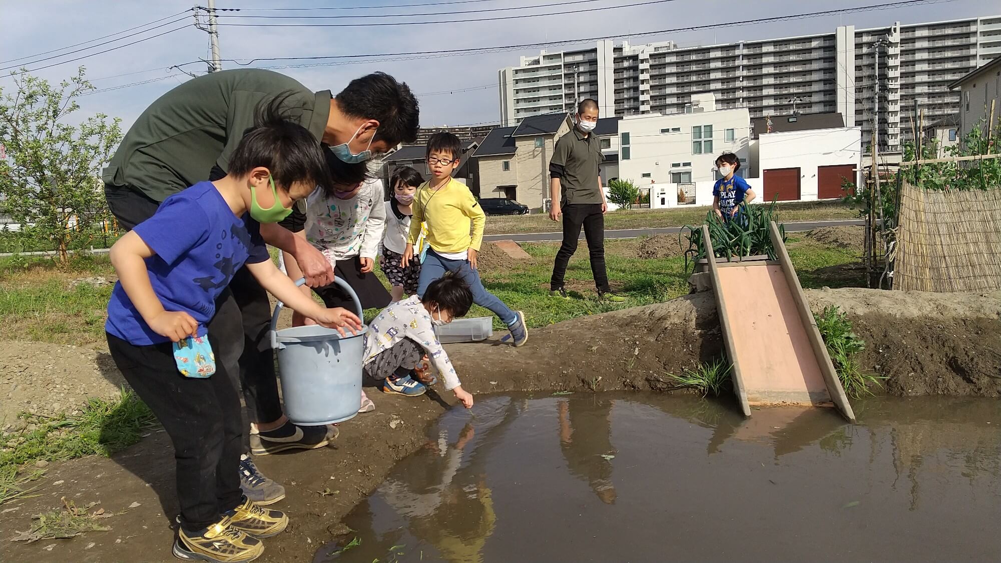 つむぎ浦和美園の田んぼ