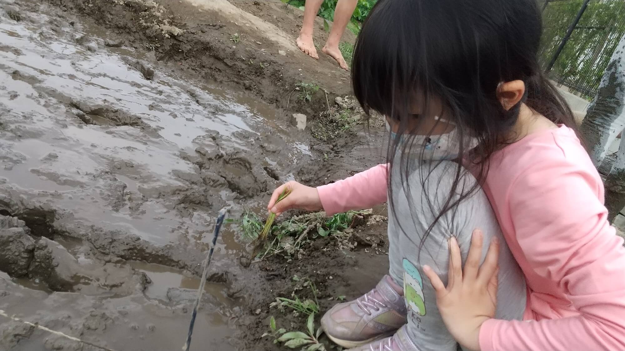 田んぼで遊ぶ子ども