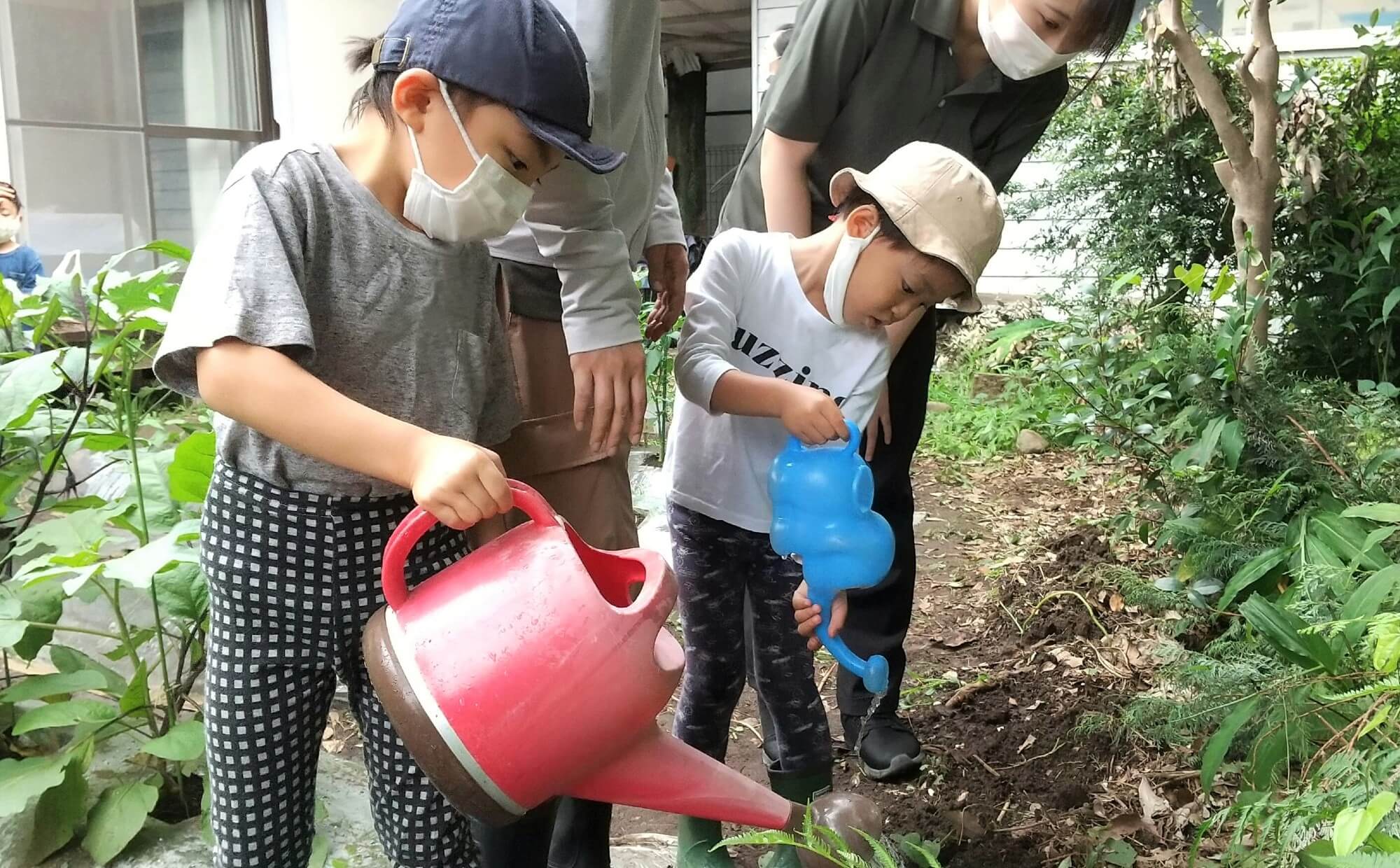 水やり