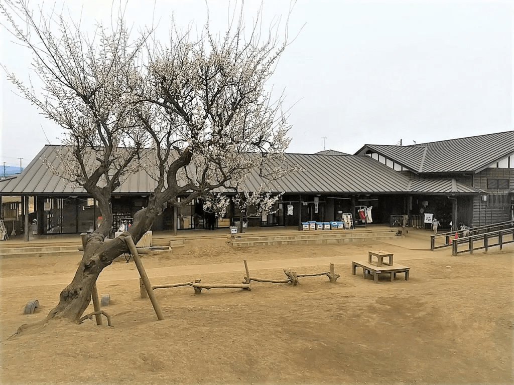 日高どろんこ保育園の園庭